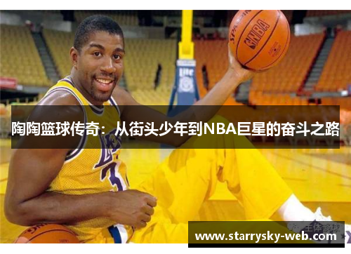 陶陶篮球传奇：从街头少年到NBA巨星的奋斗之路
